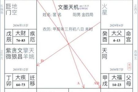 【紫微斗数】排盘技巧038：紫微斗数的未来发展