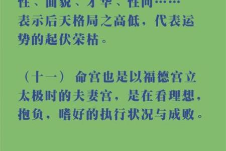 紫薇斗数官府是什么意思
