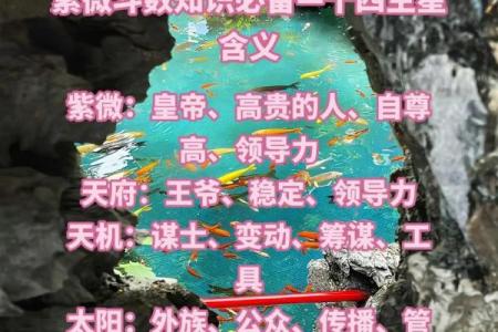 紫微斗数十四主星：天机星概论