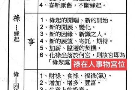 紫薇斗数中的加什么意思