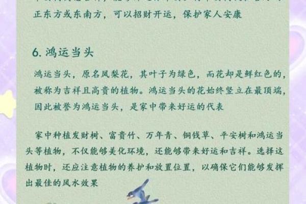 房前不种柳，屋后不栽桑，树木花草的风水作用！