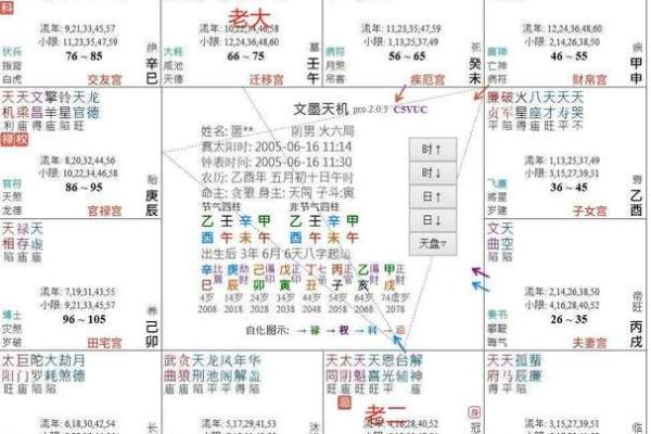 紫薇斗数爱情宫