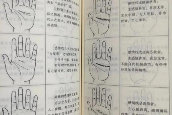 看手相算命：第四课 论事业命运
