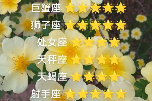 白羊座今日紫微黄历运势