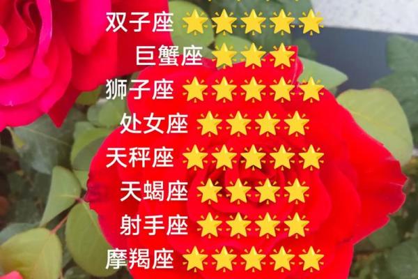 白羊座今日紫微黄历运势