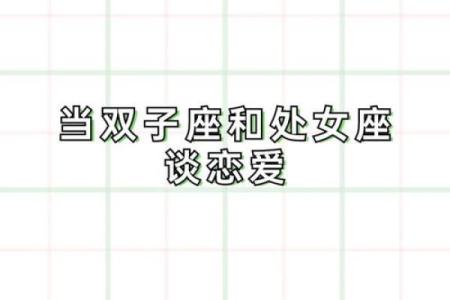 双子处女座配对分析