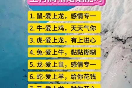 属鸡正缘出现在哪年 属鸡人婚姻配对表