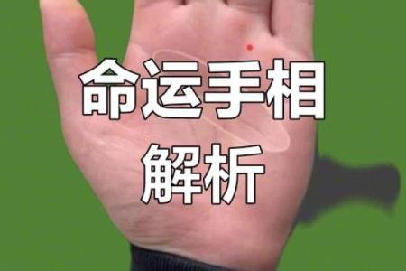 看手相算命：第四课 论事业命运