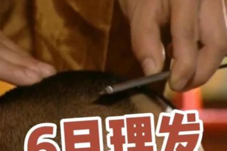 今日理发是吉日吗 今日是否宜理发