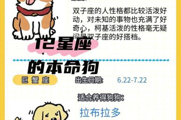 哪个星座最喜欢养动物的