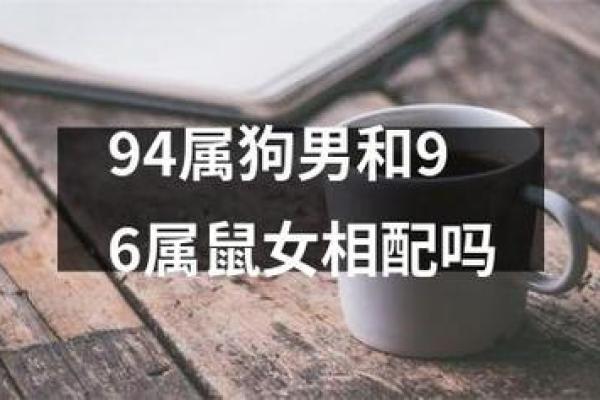 鼠狗生肖配对姻缘合适吗 鼠狗婚配的婚姻如何？