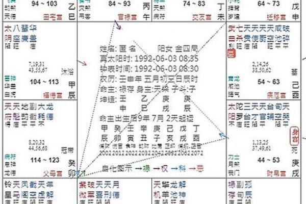 紫微斗数ios 紫微斗数免费排命盘？