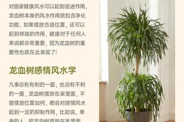 风水的真实作用究竟是什么，三大因素为你解读！