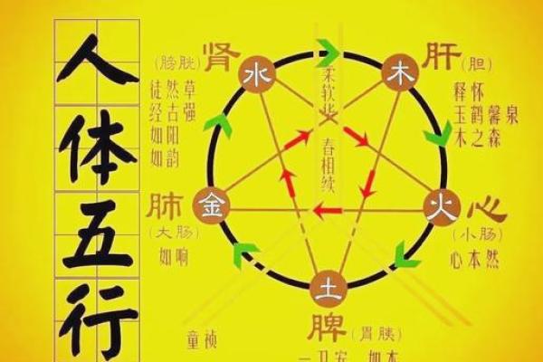 根据八字保健身体 八字可否用于保健身体