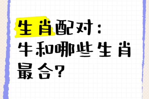 生肖配对属牛属兔的婚姻怎么样