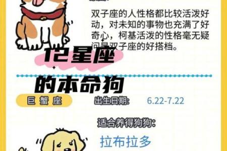 哪个星座最喜欢养动物的