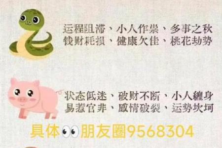 卜易居算命网免费算命大全