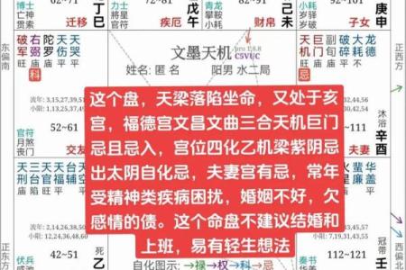 紫微斗数ios 紫微斗数免费排命盘？