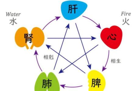 八字水多的女人运势究竟怎么样