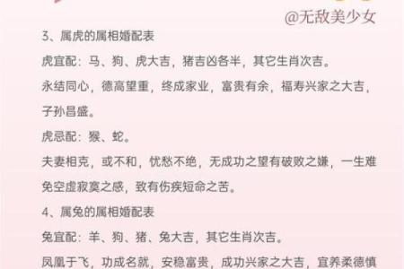 十二生肖算命婚姻配对准吗