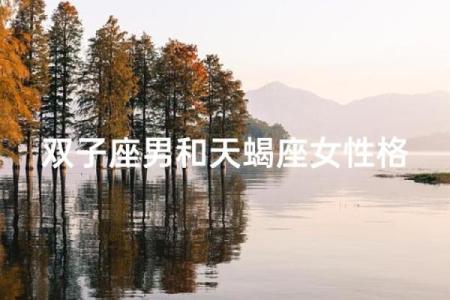 双子座和天蝎座配对指数 双子座和天蝎座性格合得来吗