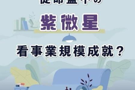 紫薇斗数和职业