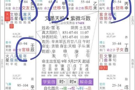 紫微斗数失陷 紫微斗数陷落？