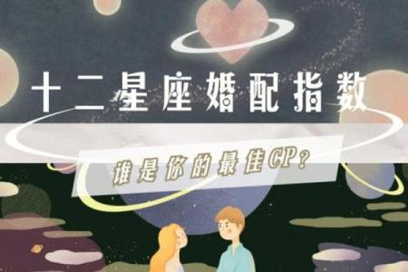 处女座和射手座配对指数