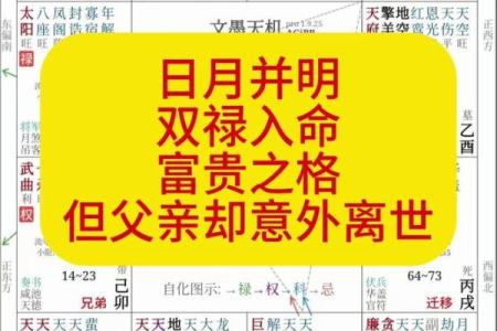 紫薇斗数忌转忌会发生什么