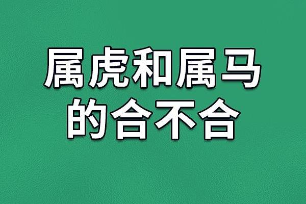 鼠马的八字不合 鼠马的八字不合
