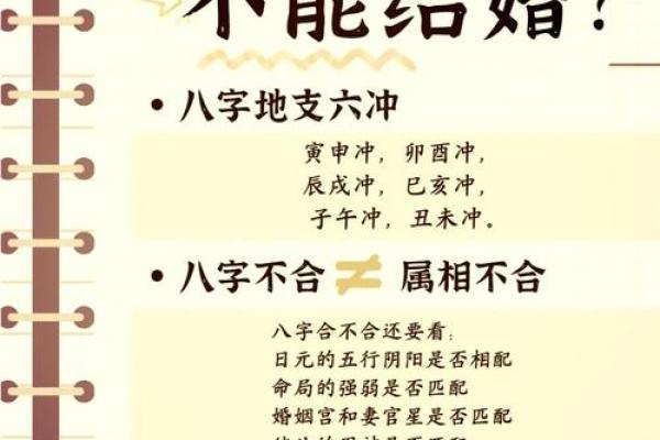 鼠马的八字不合 鼠马的八字不合