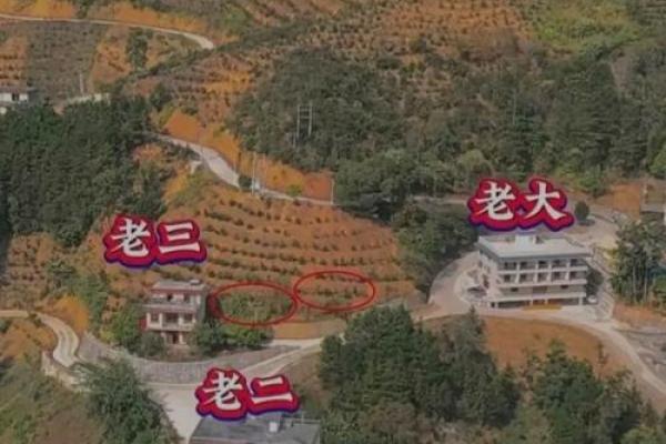 双星风水更好的房子 双星风水更好的房子