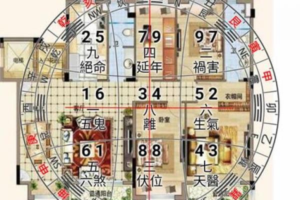 双星风水更好的房子 双星风水更好的房子