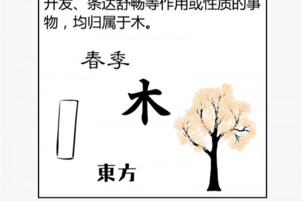 阴阳五行是八字命理的基础 阴阳五行是八字命理的基础