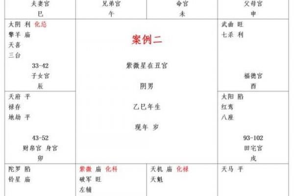 紫薇斗数一等命盘 紫薇斗数一等命盘