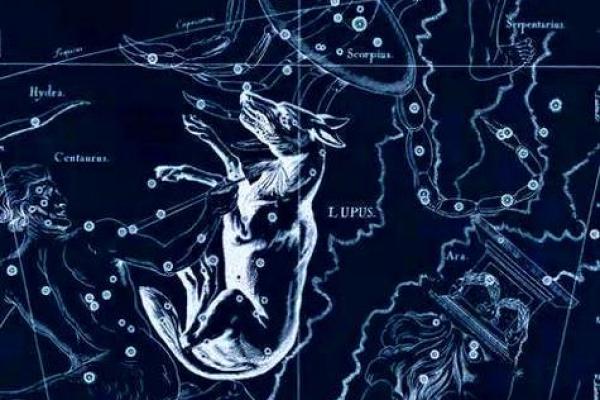 紫薇斗数贪狼星性 紫薇斗数贪狼星性