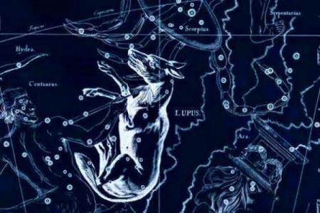 紫薇斗数贪狼星性