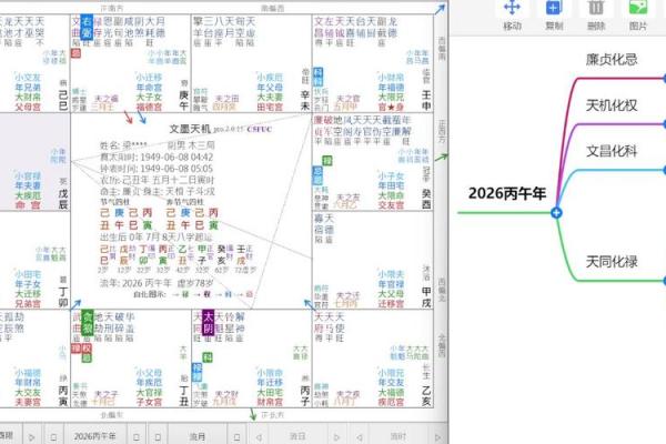 王员外紫薇斗数 王员外紫薇斗数