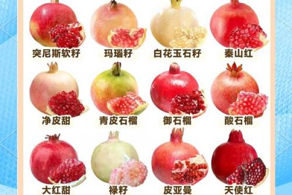 风水石榴寓意石榴石象征意义