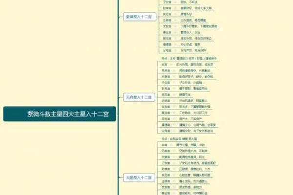 紫薇斗数宗师级