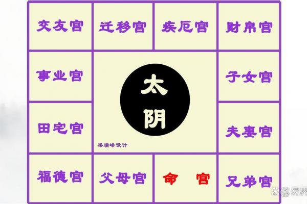 紫微斗数之事业宫与诸星,太阴星在事业宫是什么意思? 紫微斗数之事业宫与诸星,太阴星在事业宫是什么意思?