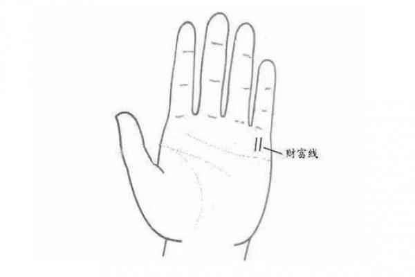 财运线是哪一条？财运线算命图解