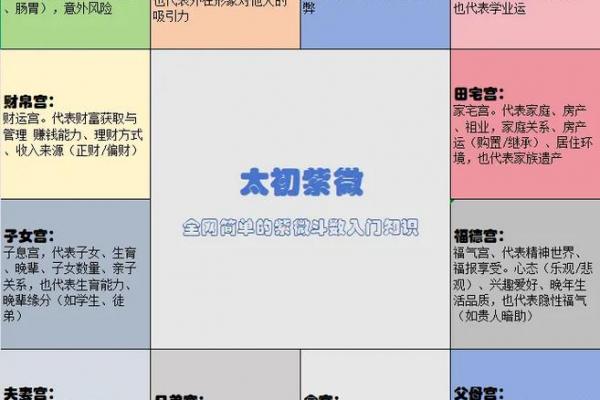 紫微斗数丨紫微斗数基础知识篇