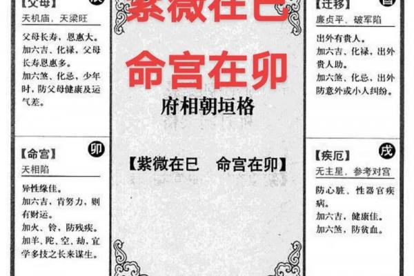 紫薇斗数太岁流年 紫薇斗数太岁流年