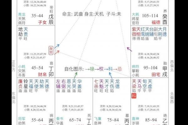倪海厦的紫薇斗数跟谁学的