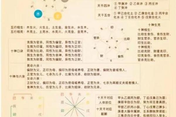 免费四柱八字排盘详解 免费四柱八字排盘详解