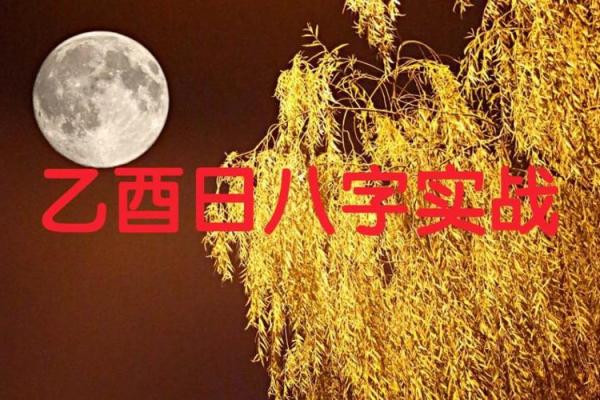 八字乙酉 八字乙酉
