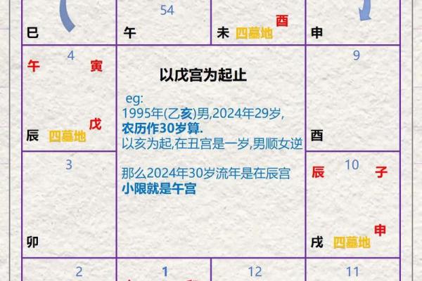 紫薇斗数流年运禄