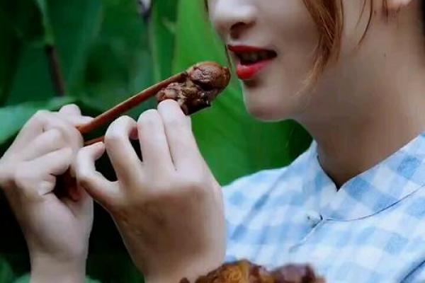 算命先生说猪肉太贵什么意思