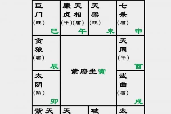 天厨星紫薇斗数